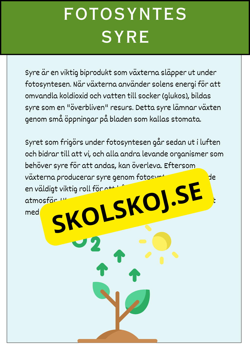 Fotosyntesens process