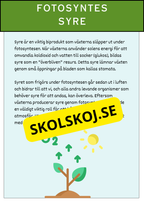 Fotosyntesens process