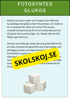 Fotosyntesens process