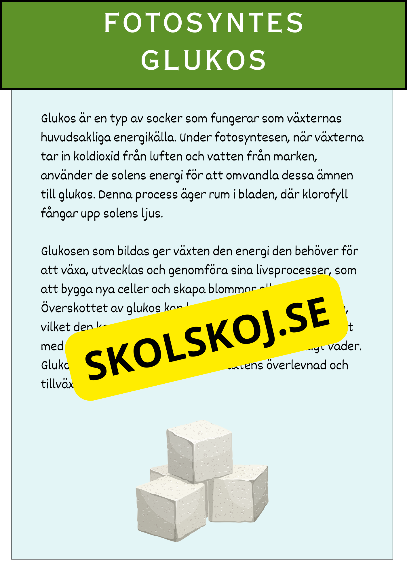 Fotosyntesens process