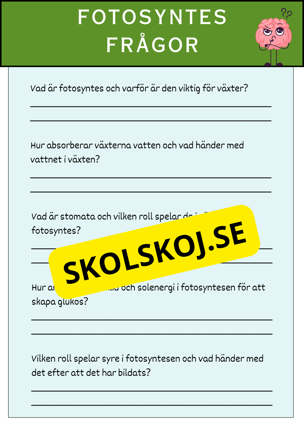Fotosyntesens process