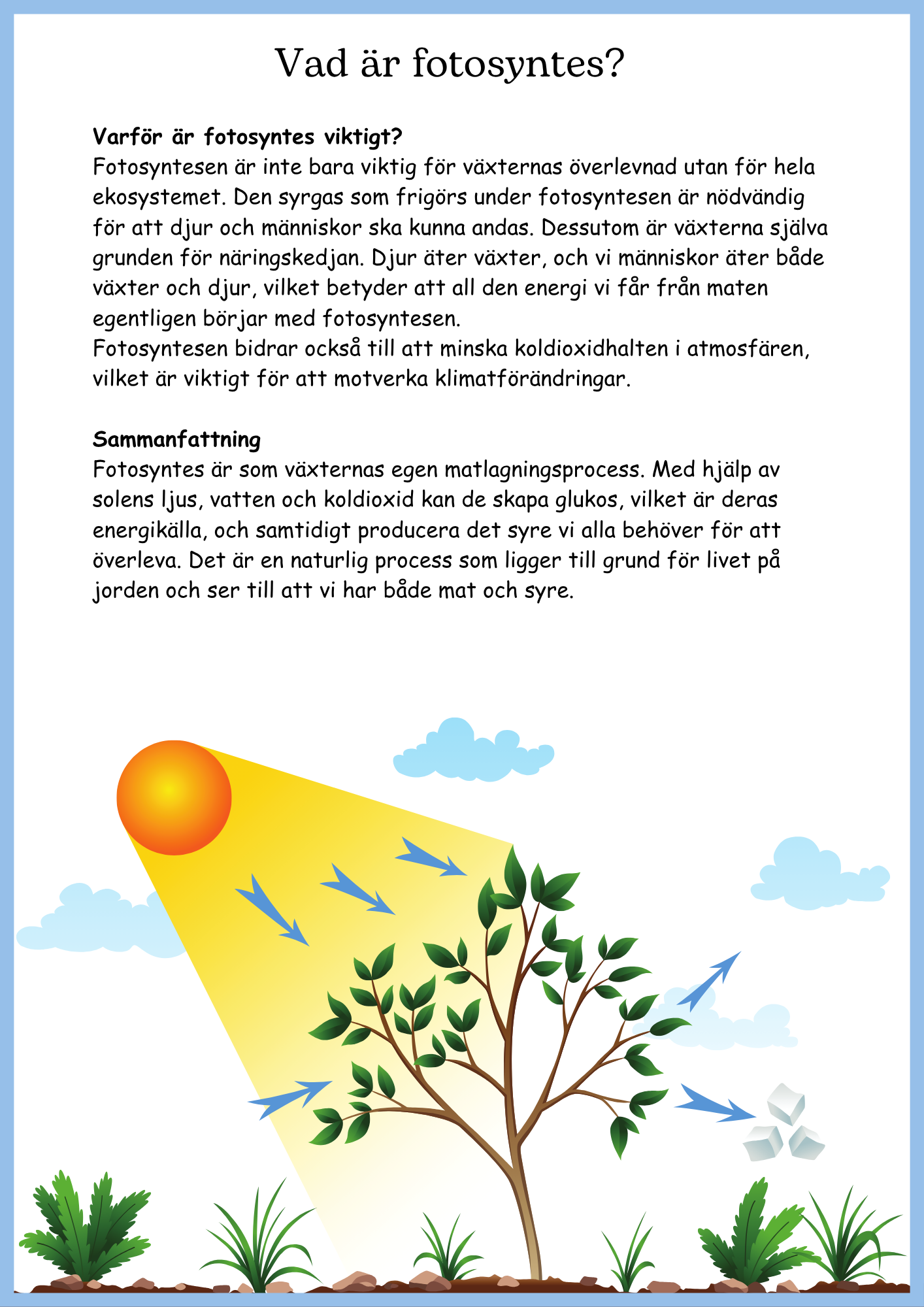 Stort NO-paket - Biologi för årskurs 4–6 – 200 sidor