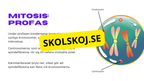 Från en till två - Mitosens stadier - Årskurs 7 - 9