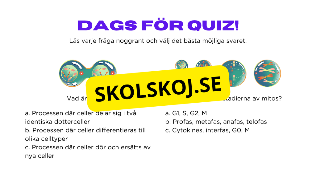 Från en till två - Mitosens stadier - Årskurs 7 - 9