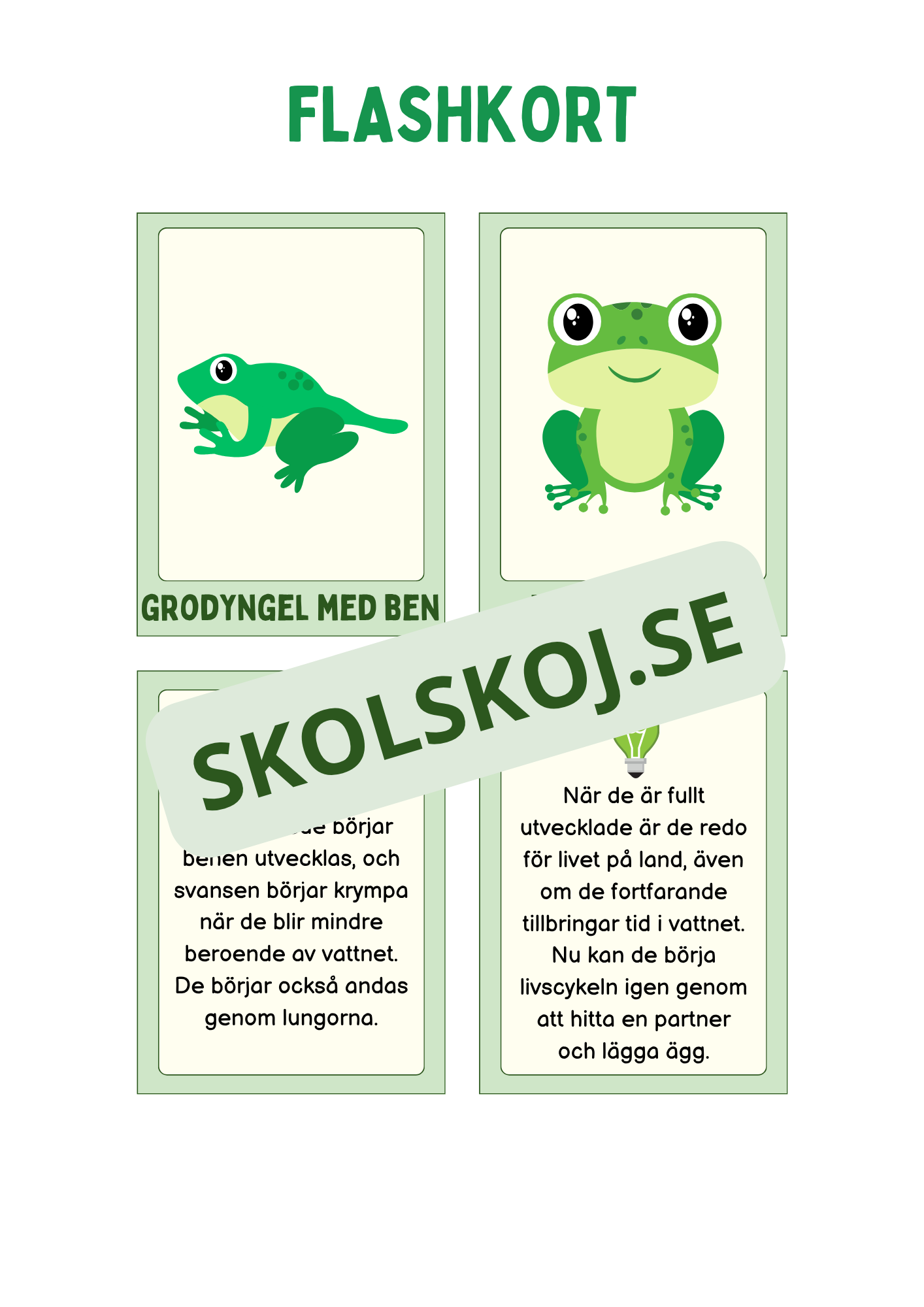 Grodans livscykel och lite till