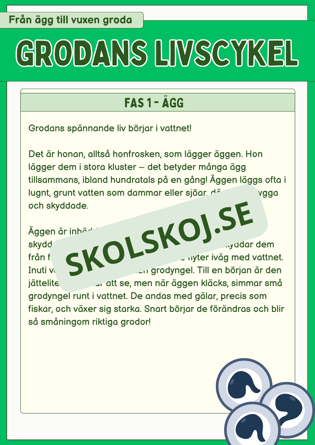Grodans livscykel och lite till