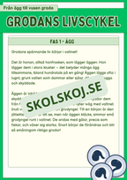 Grodans livscykel och lite till