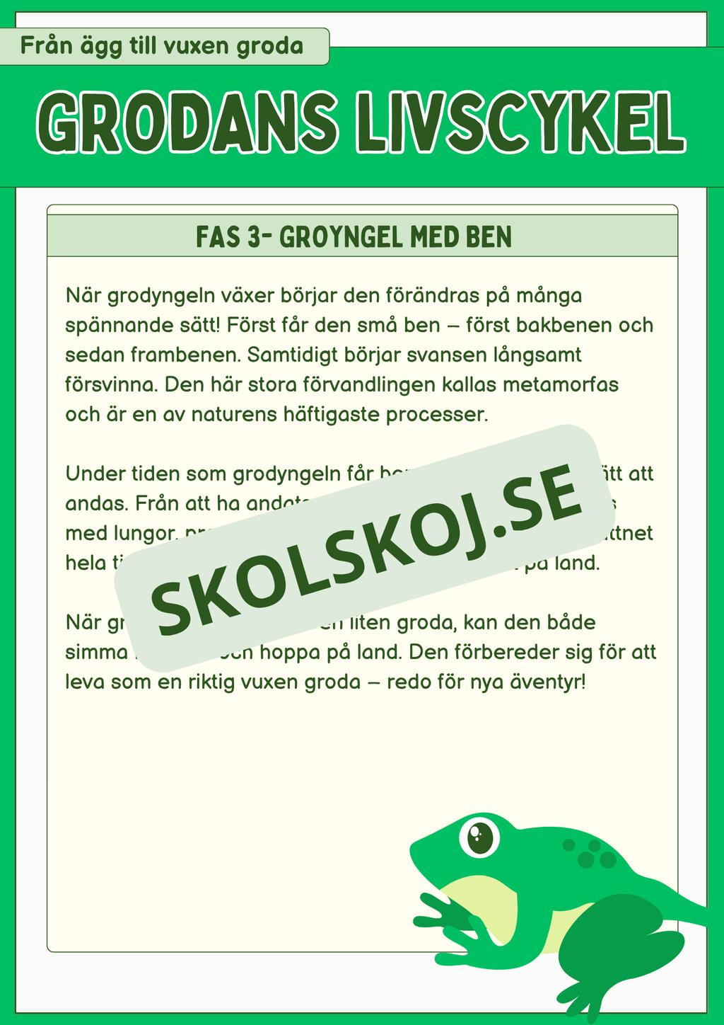 Grodans livscykel och lite till