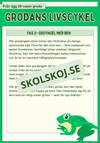 Grodans livscykel och lite till