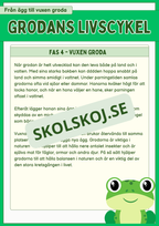 Grodans livscykel och lite till