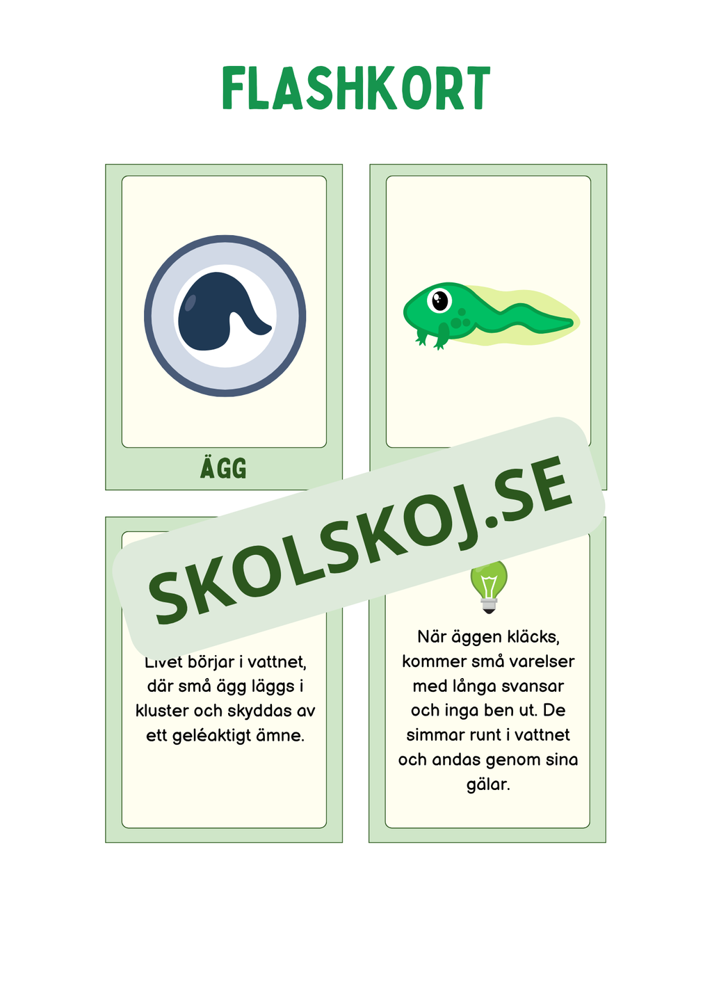 Grodans livscykel och lite till