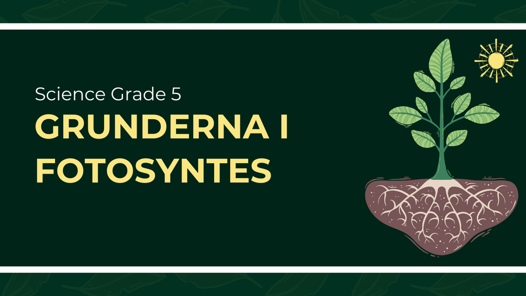Grunderna i fotosyntes + frågor