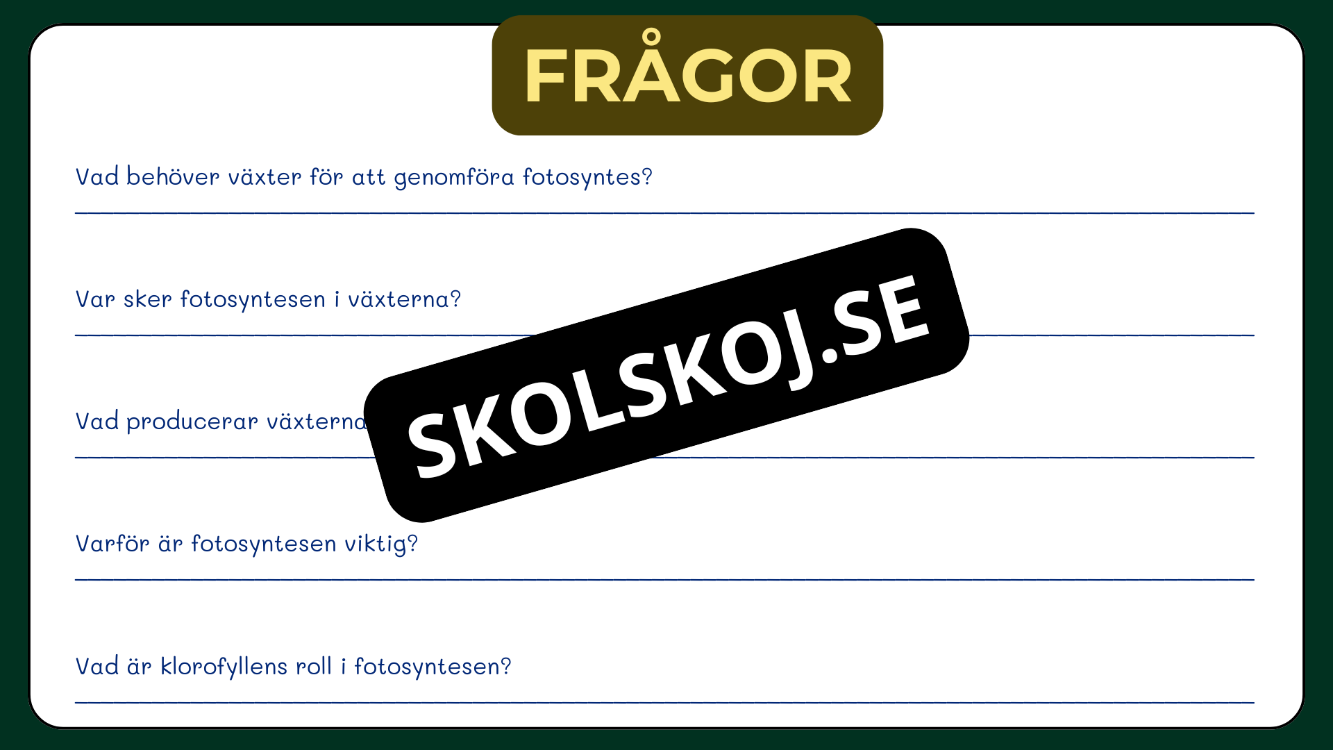 Grunderna i fotosyntes + frågor