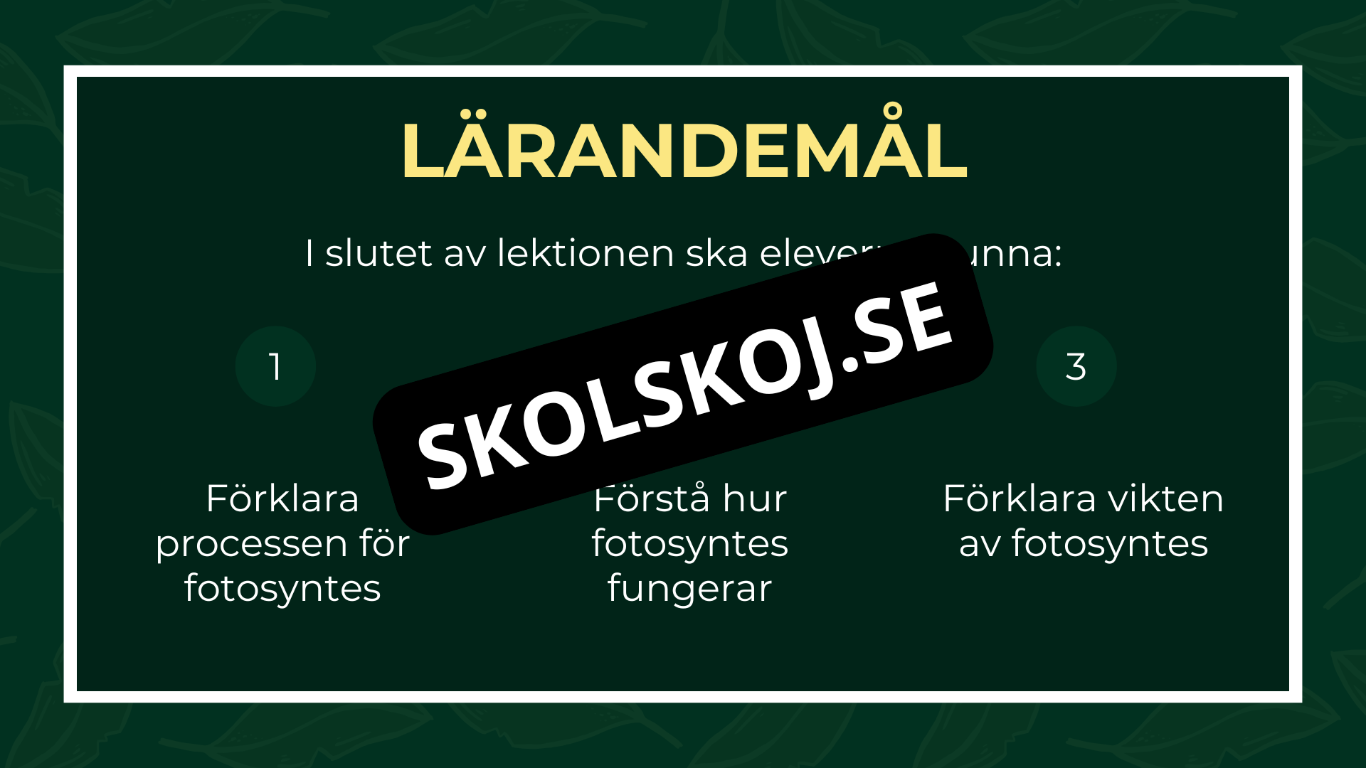 Grunderna i fotosyntes + frågor