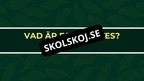 Grunderna i fotosyntes + frågor