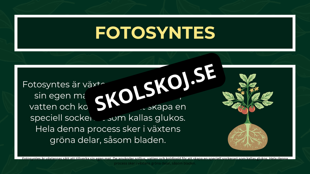 Grunderna i fotosyntes + frågor