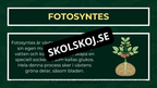 Grunderna i fotosyntes + frågor