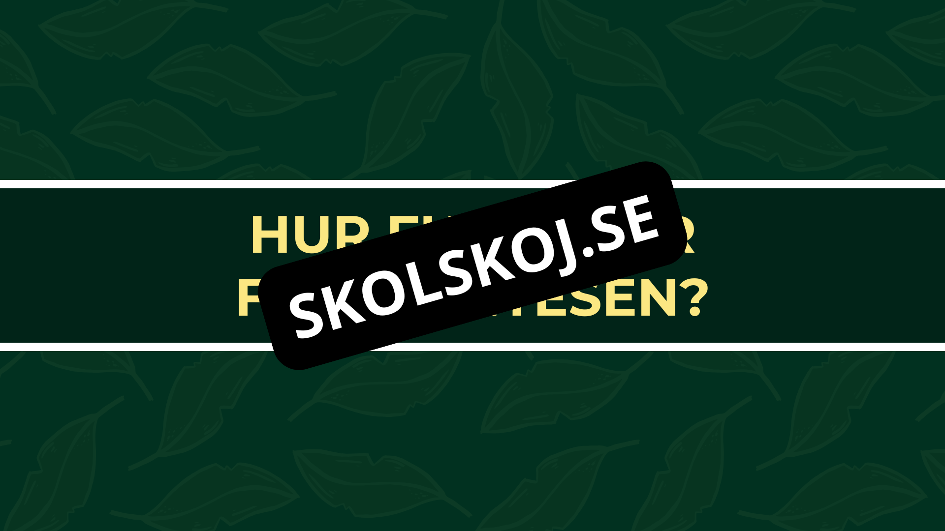 Grunderna i fotosyntes + frågor