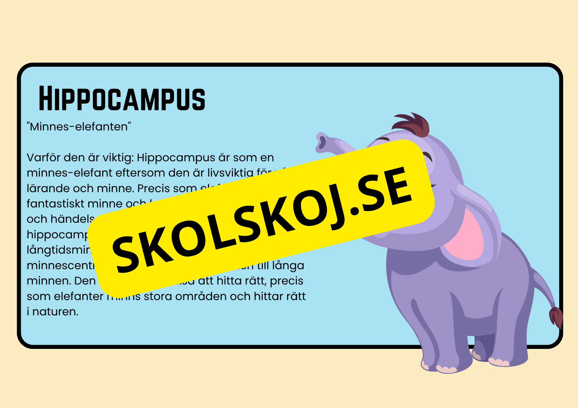 Förstå din hjärna - Årskurs 4 - 6