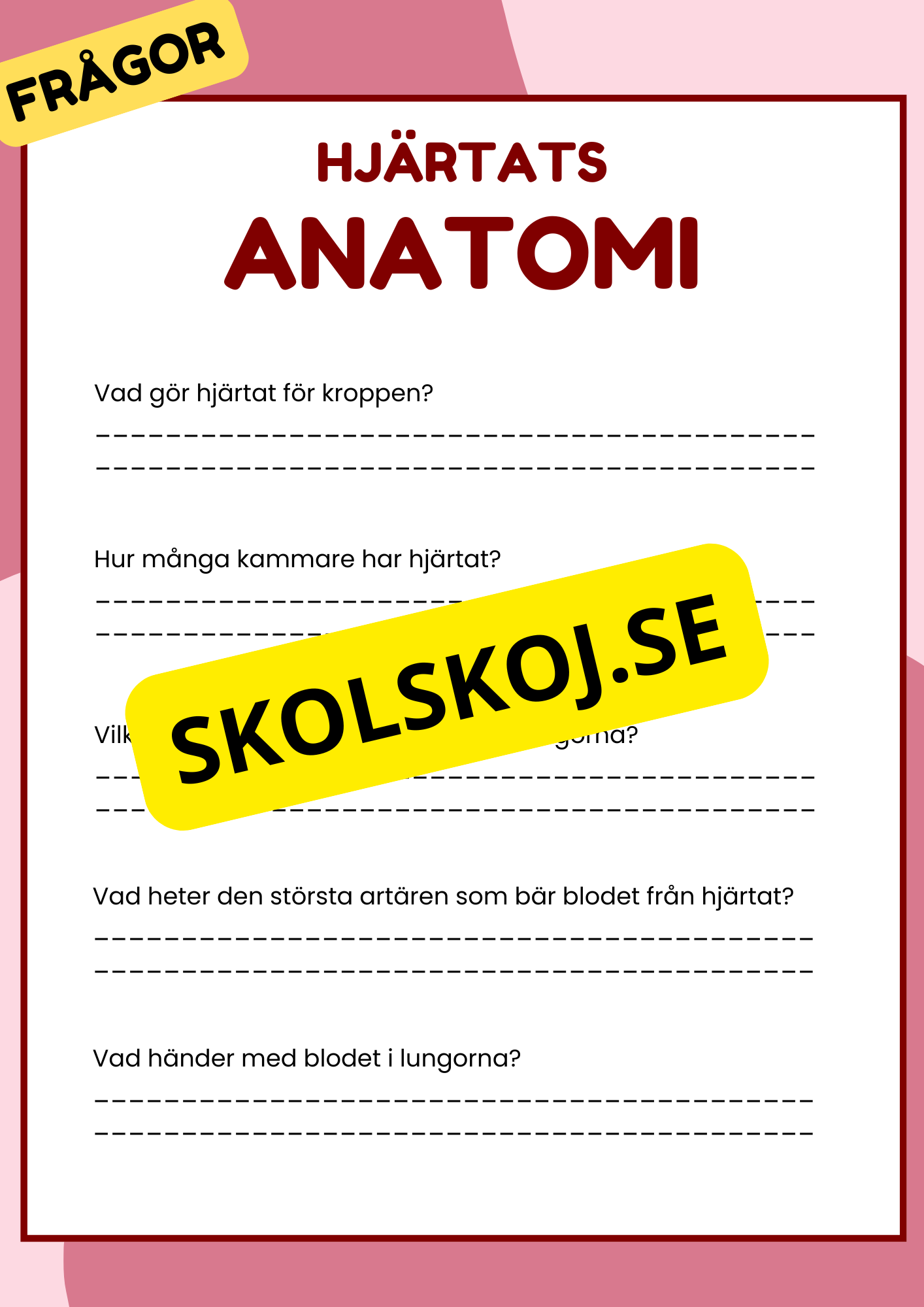 Hjärtats anatomi