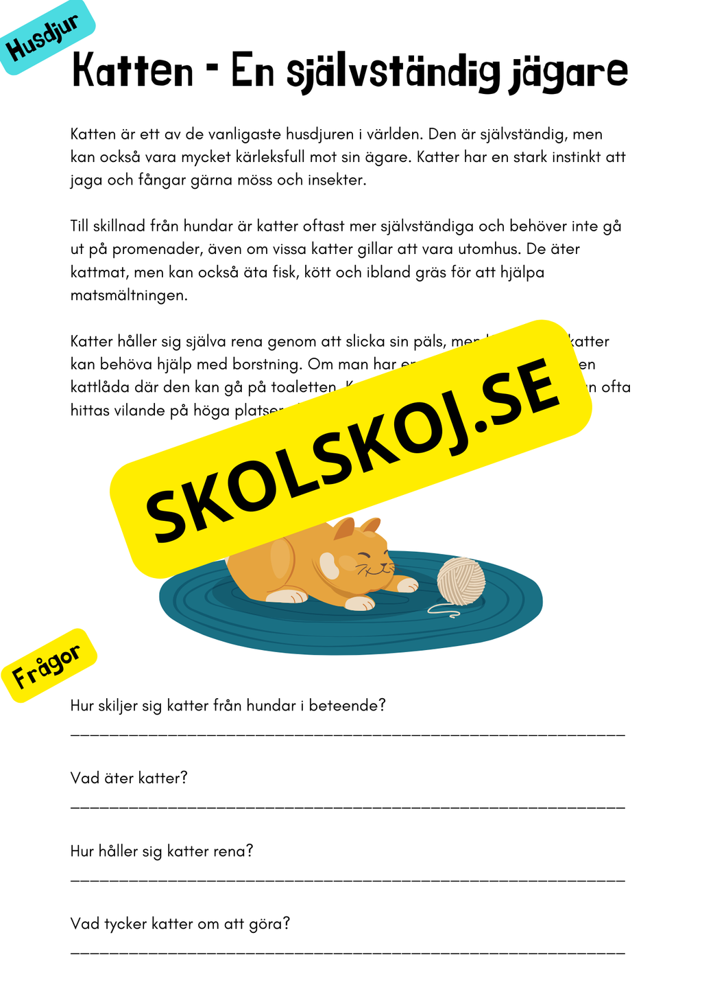 Husdjur - Häfte