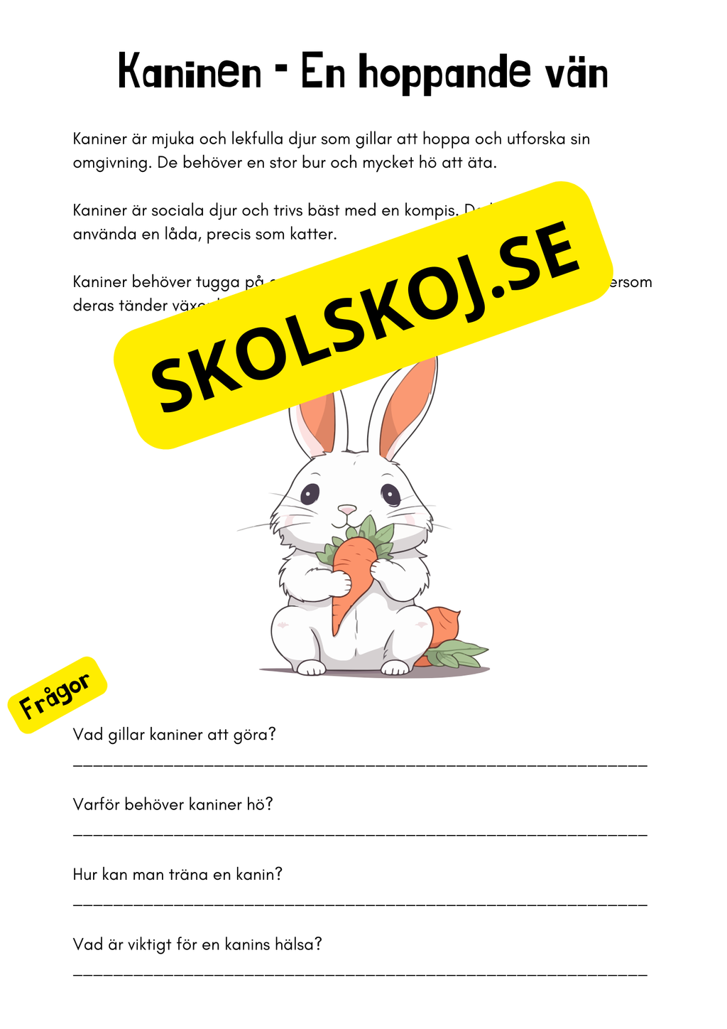 Husdjur - Häfte