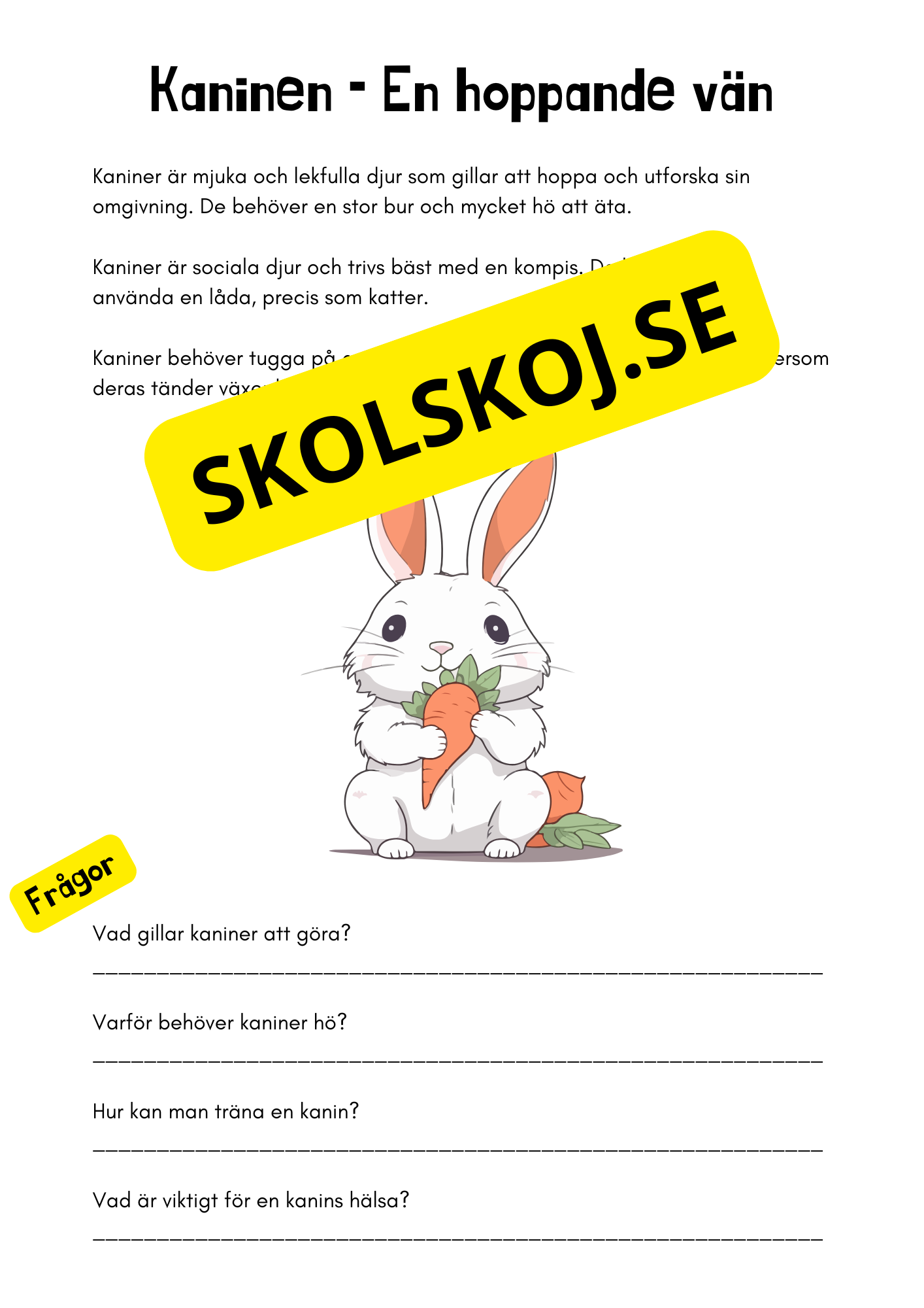 Husdjur - Häfte