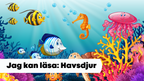Jag kan läsa: Havsdjur
