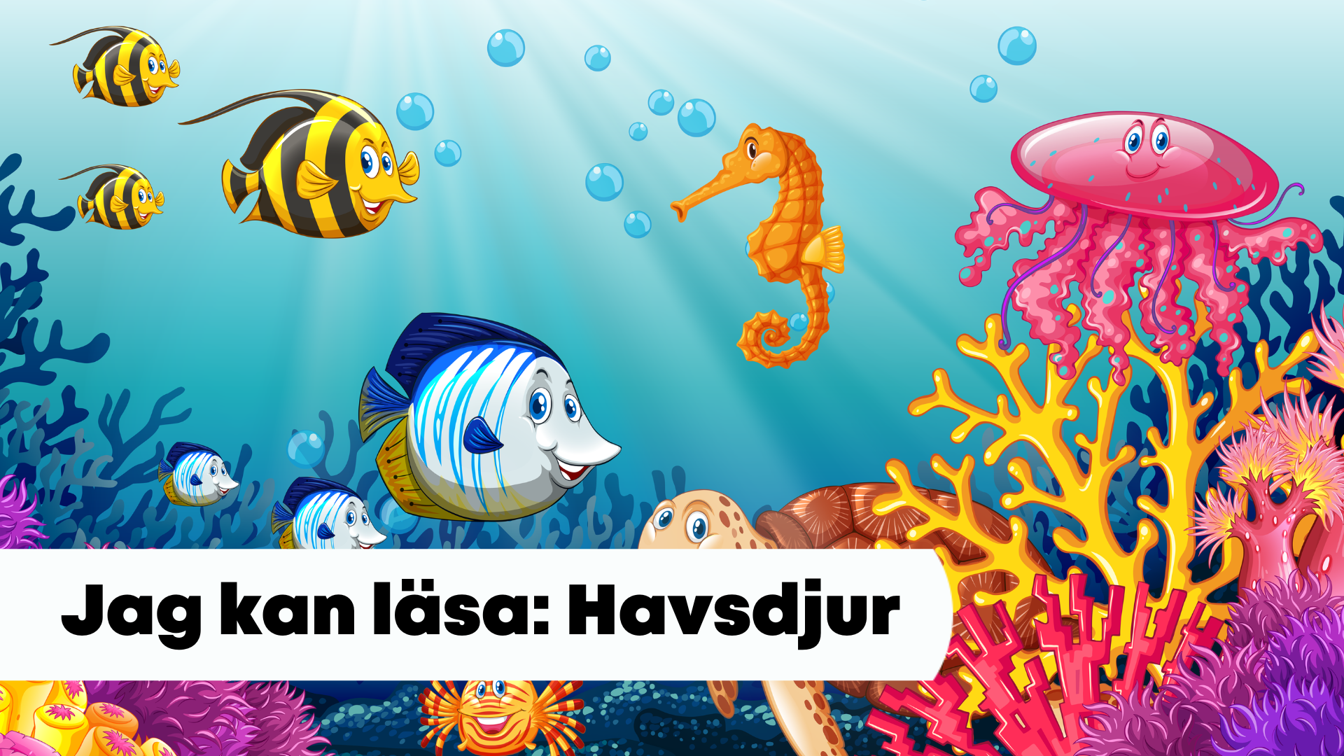 Jag kan läsa: Havsdjur