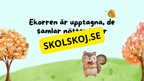 Kan du gissa årstiden?