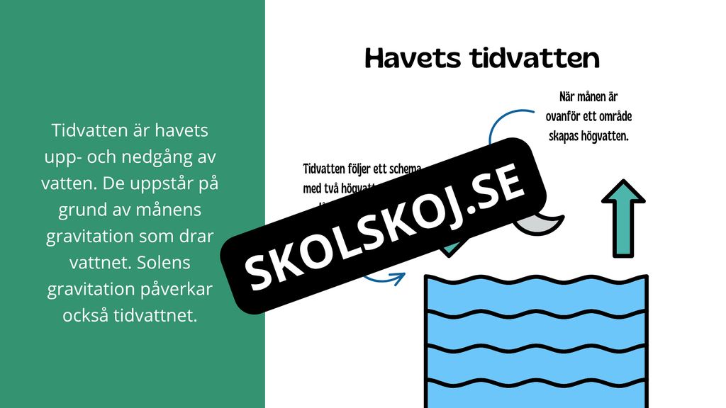 Kort fakta om gravitation