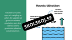 Kort fakta om gravitation
