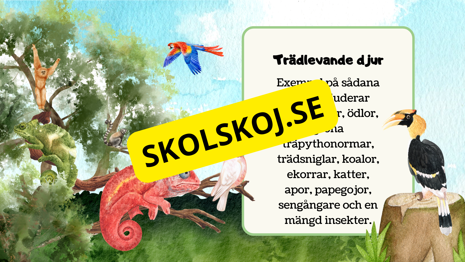 Kort fakta om livsmiljöer