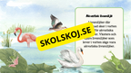 Kort fakta om livsmiljöer