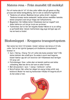 Kroppen behöver energi - Årskurs 4 - 6