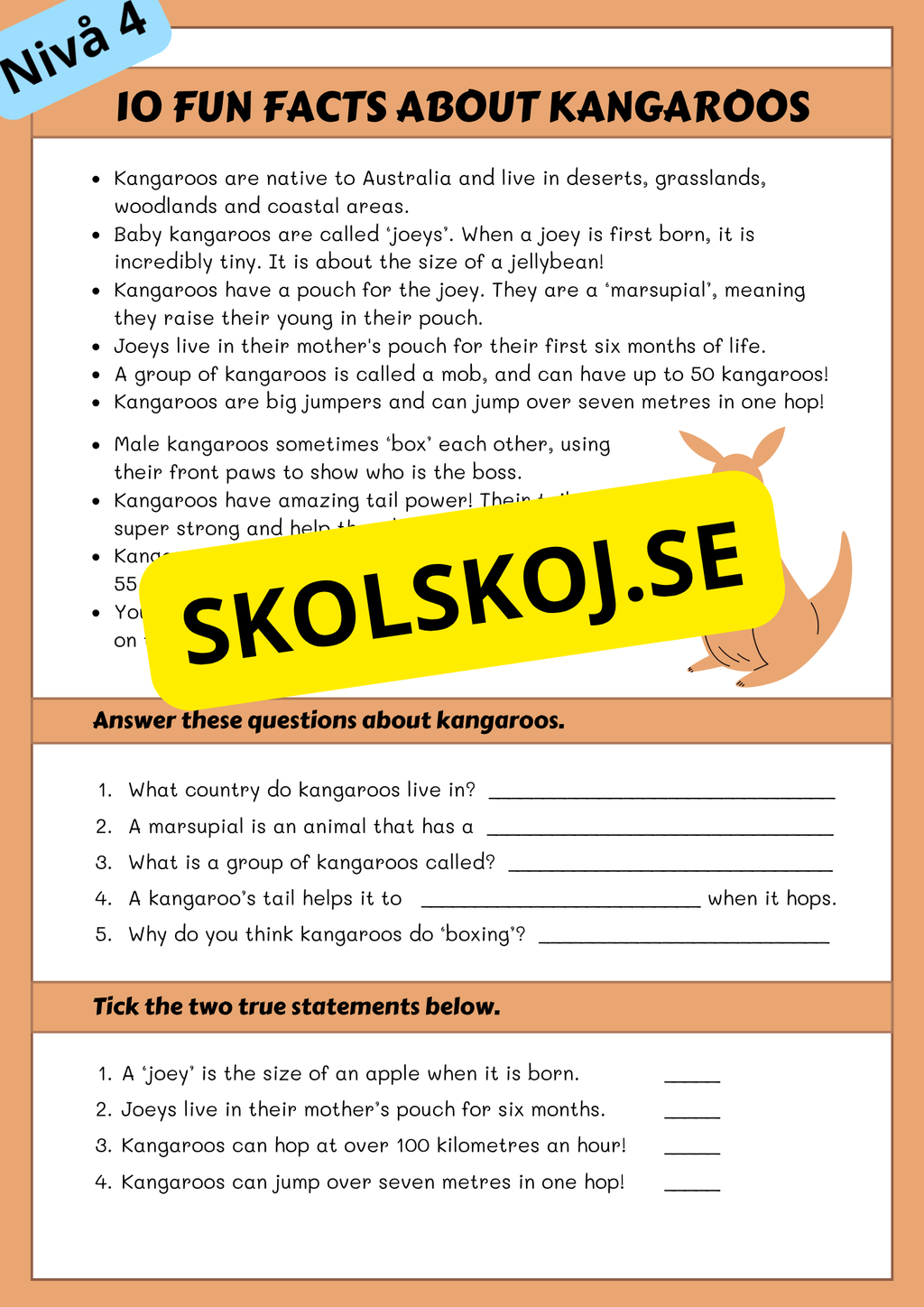 Läsförståelse - Engelska