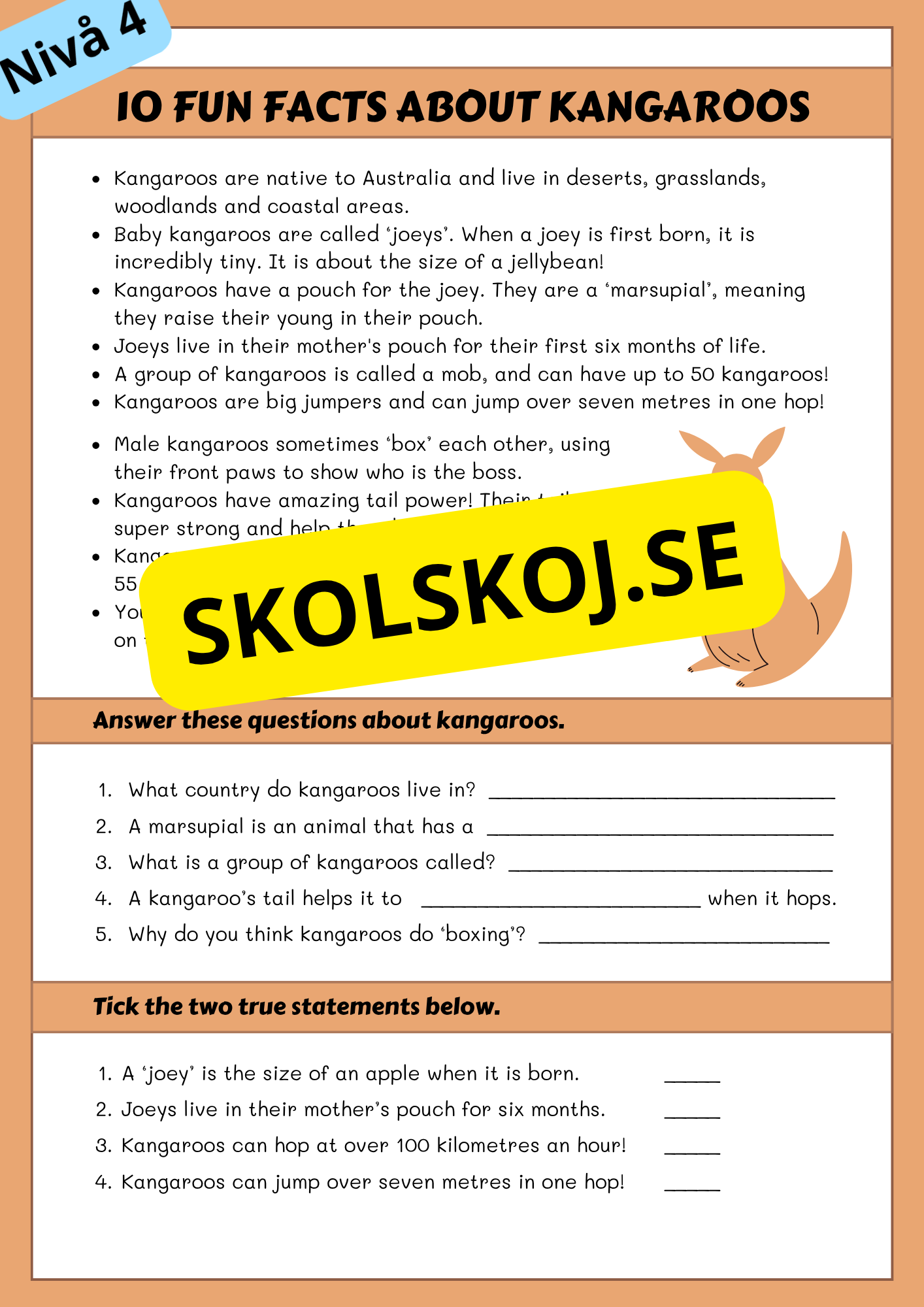 Läsförståelse - Engelska