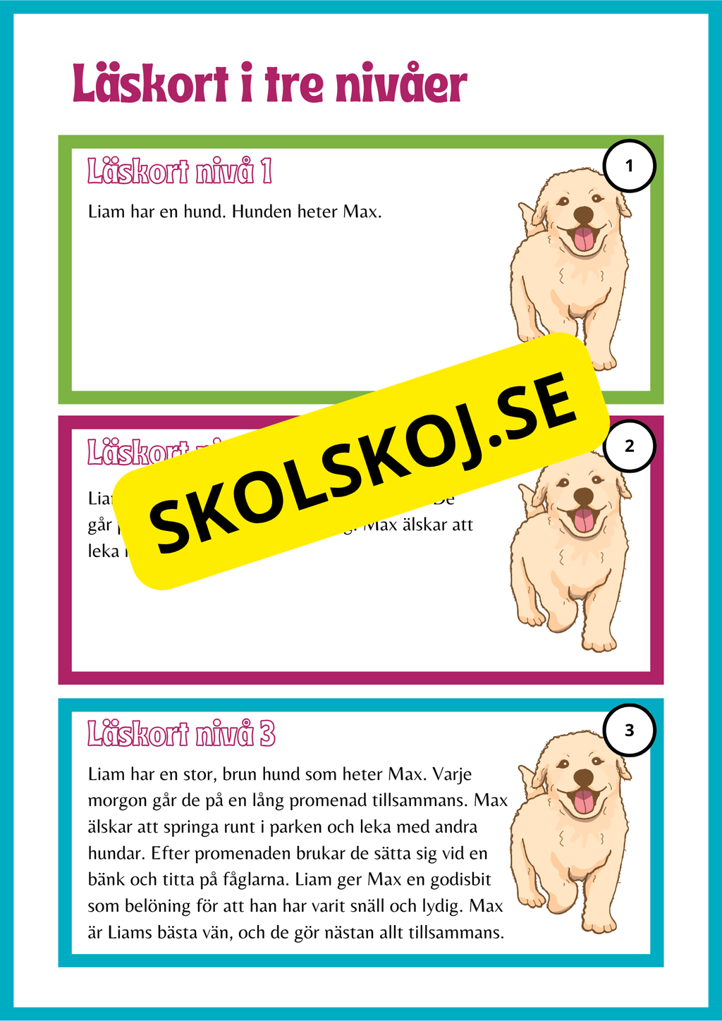 Läskort i tre nivåer- 60 st