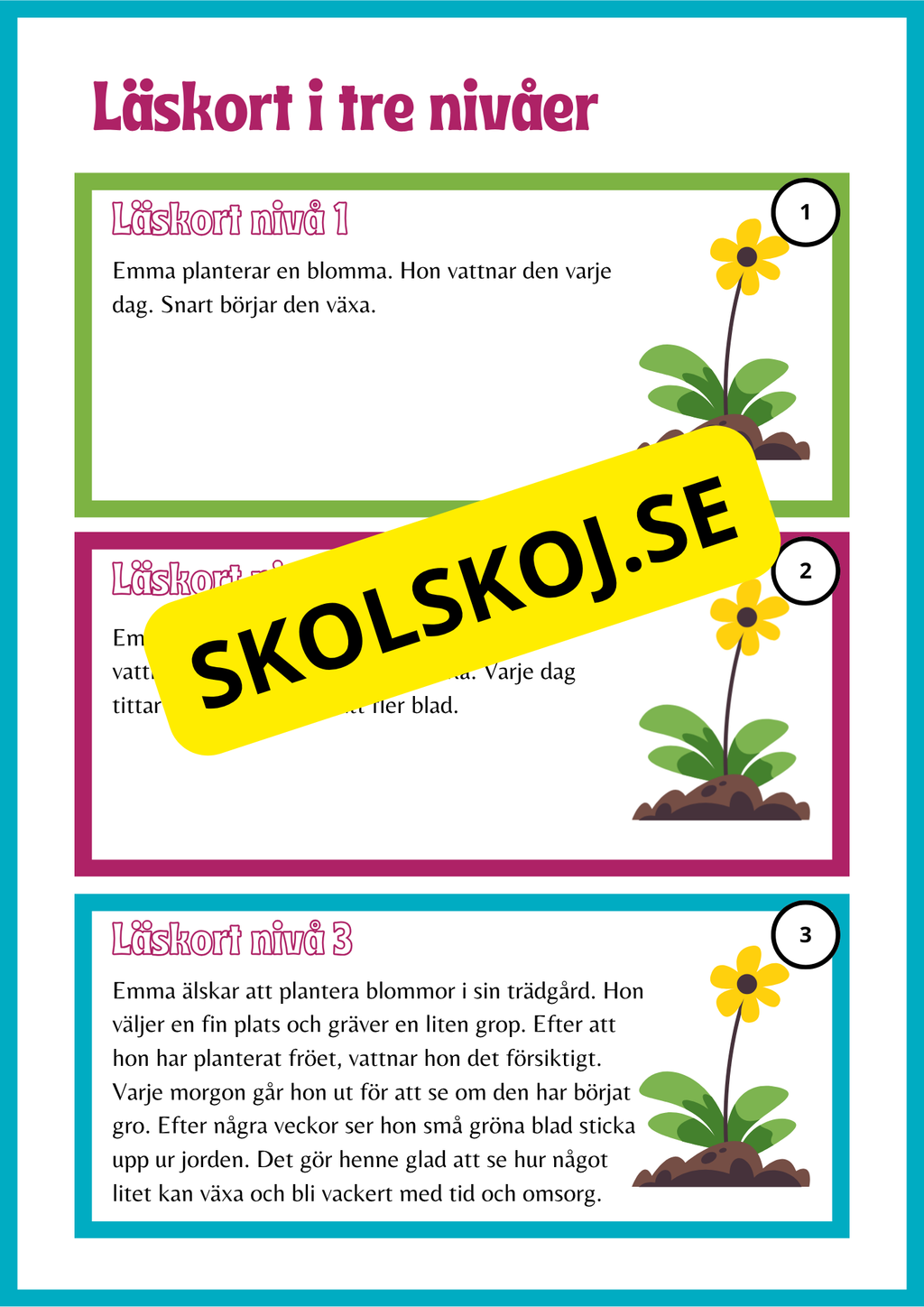 Läskort i tre nivåer- 60 st