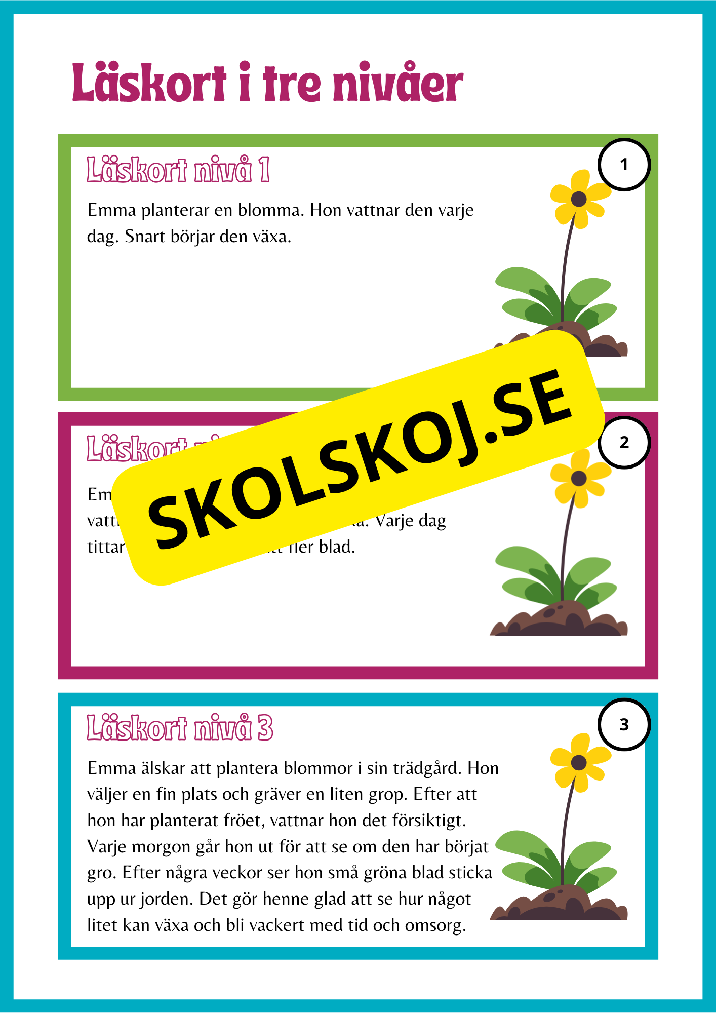 Läskort i tre nivåer- 60 st