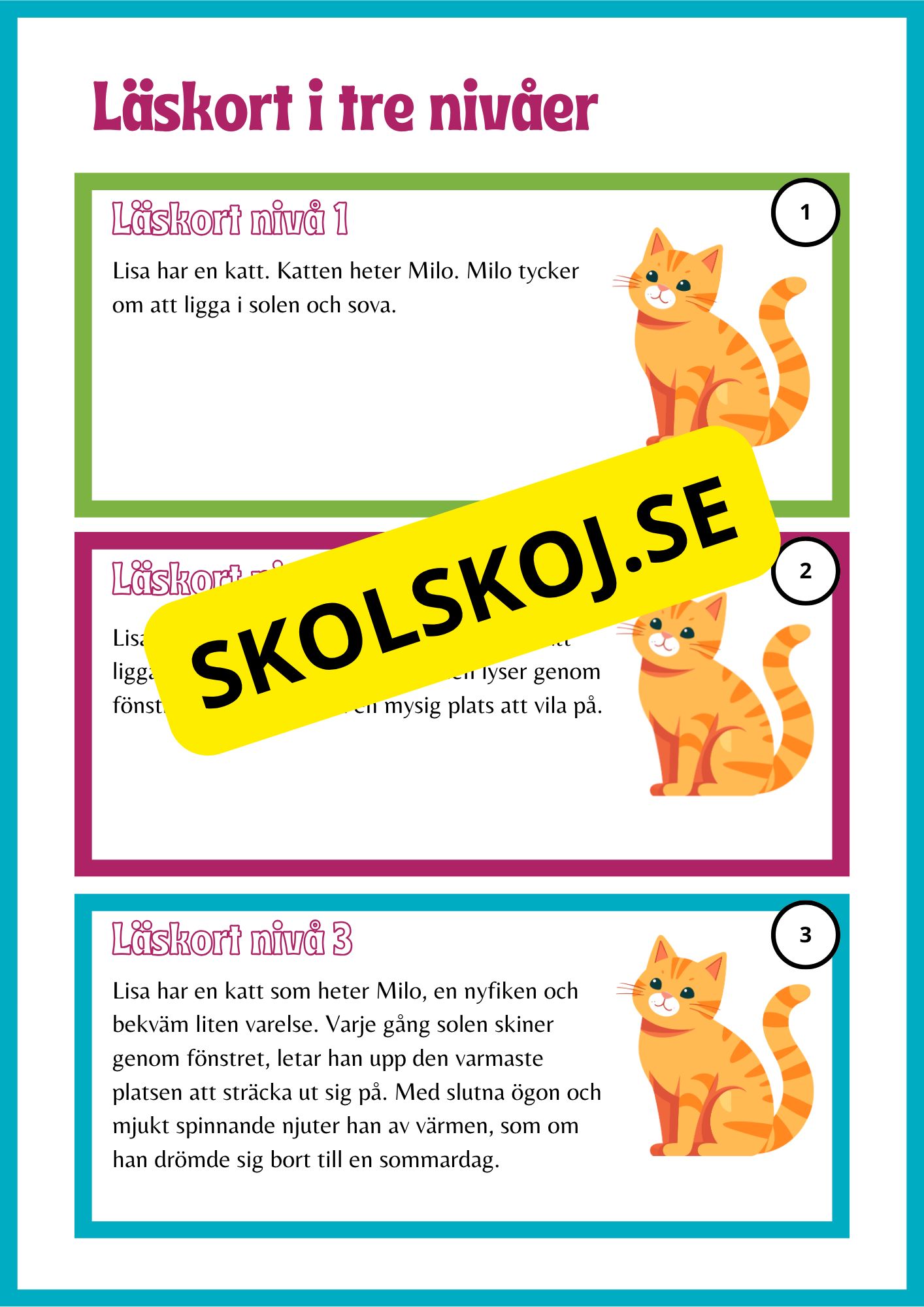 Läskort i tre nivåer- 60 st