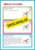 Läskort i tre nivåer- 60 st