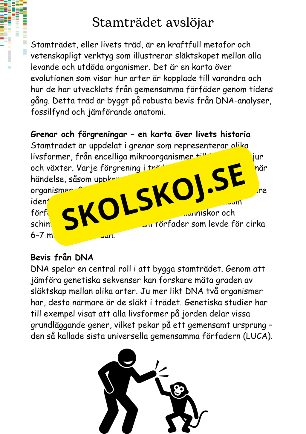 Livets utveckling - Årskurs 4 - 6