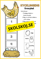 Llivscykler - Groda, fjäril, äpple, kyckling