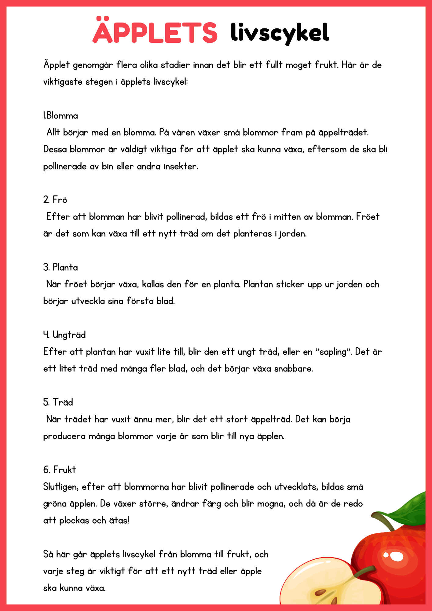 Llivscykler - Groda, fjäril, äpple, kyckling