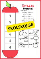 Llivscykler - Groda, fjäril, äpple, kyckling
