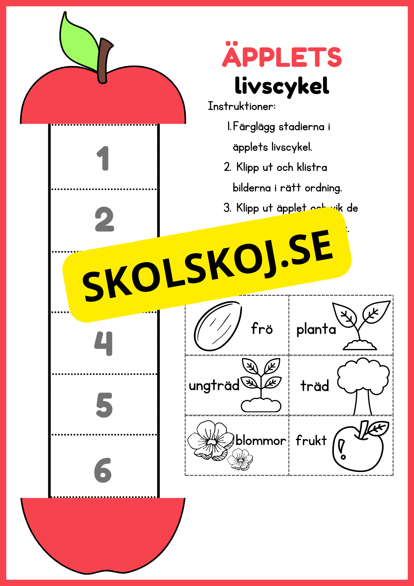 Llivscykler - Groda, fjäril, äpple, kyckling