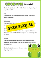 Llivscykler - Groda, fjäril, äpple, kyckling