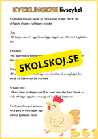 Llivscykler - Groda, fjäril, äpple, kyckling