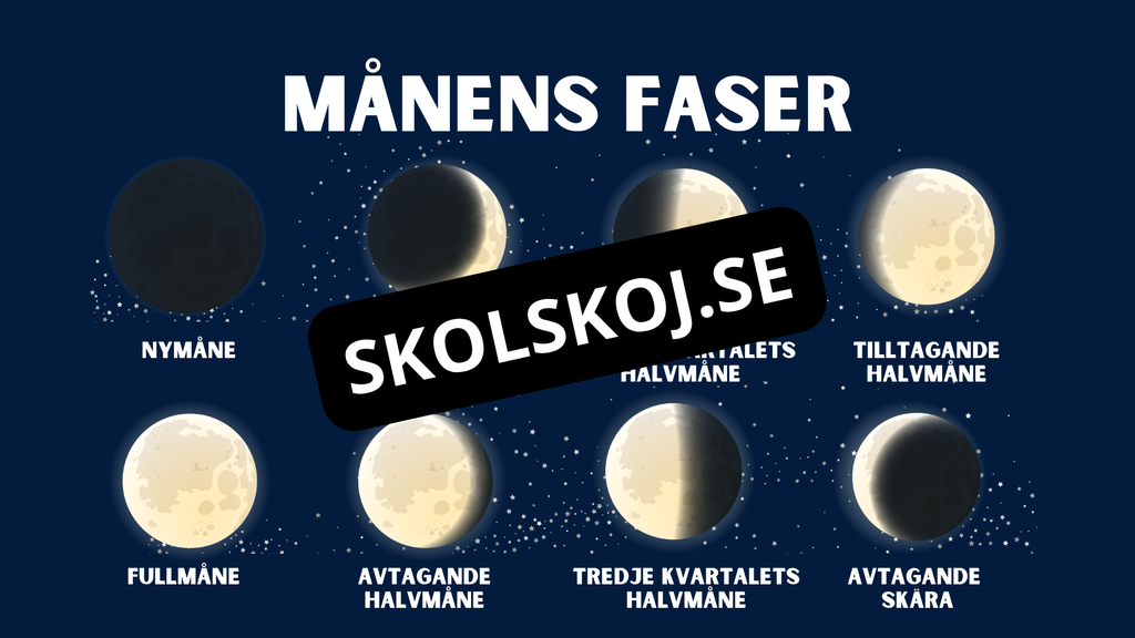 Månens faser